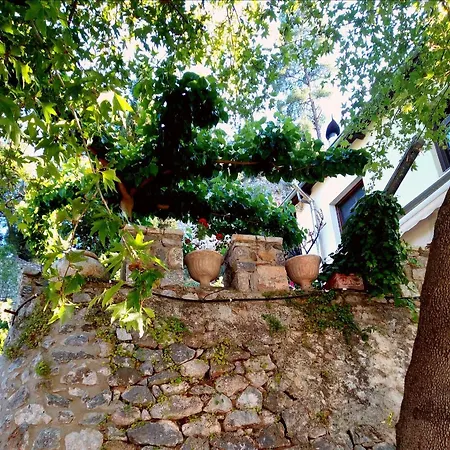 Kria Springs Holiday home